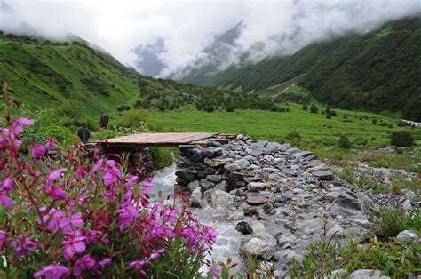 Spring in India - Climate, Nature, Best Destinations and More