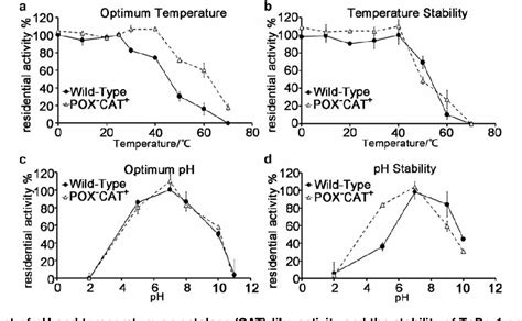 👍 The effect of temperature on catalase. Effects of Temperature on Catalase. 2019-02-17