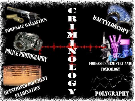 Criminology Wallpapers - Wallpaper Cave