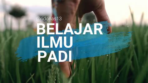 Ilmu Padi (semakin berisi semakin merunduk) - YouTube