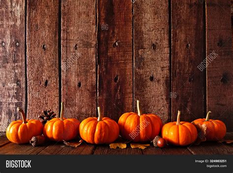 Autumn Border Pumpkins Image & Photo (Free Trial) | Bigstock