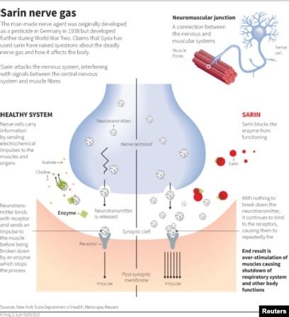 Sarin Gas Effects