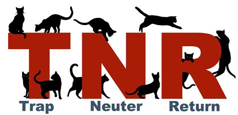 TNR – Johnson County Animal Shelter