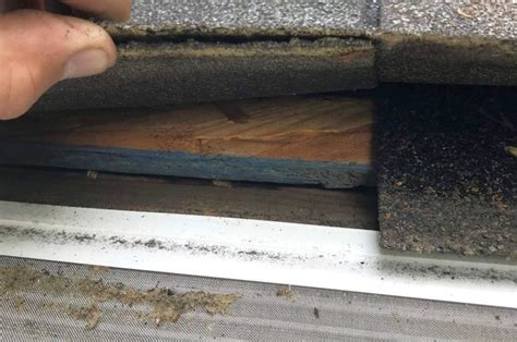 What Is A Roof Drip Edge And Why Do You Need It?