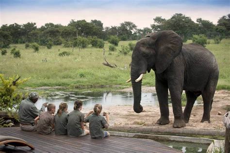 10 Best Safari Tips For Family Safaris with Kids - Tailormade Africa