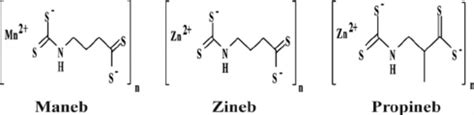 Chemical structures of the metal dithiocarbamate complexes: maneb,... | Download Scientific Diagram