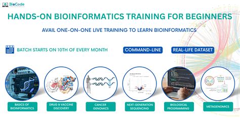 Bioinformatics Training For Beginners | BioCode