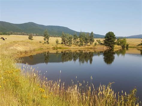 Enhance farm dams – ANU Sustainable Farms