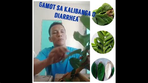 Gamot sa Kalibanga o Diarrhea - YouTube