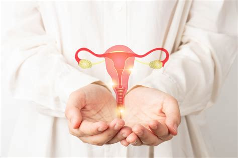 "Hydrosalpinx: Symptoms, Impact on Fertility, and Treatment Options" - World Today News