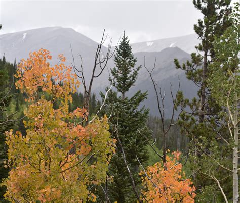 Colorado 2020 fall colors guide to best aspen viewing drives, hikes