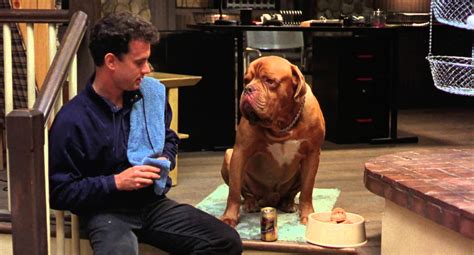 Movie Review: Turner And Hooch (1989) | The Ace Black Movie Blog