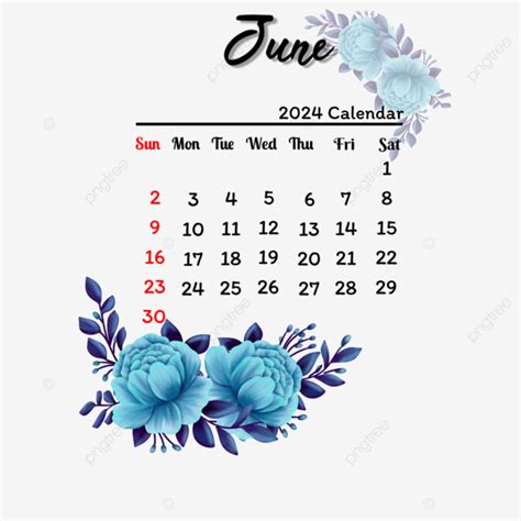 June 2024 Calendar Design With Floral, June 2024, June Calendar Design, June Calendar 2024 PNG ...