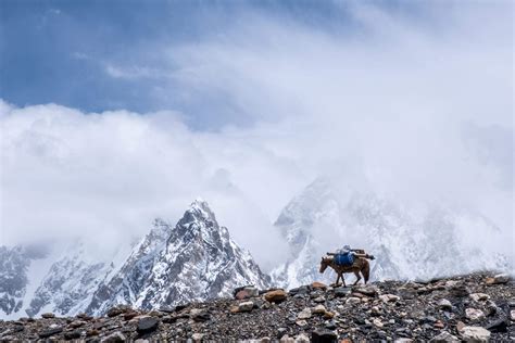 Batura Glacier Yak Trek - Adventure Center Pakistan