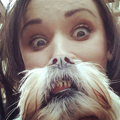 Dog Beards, A Canine Equivalent of the Photo Meme 'Cat Beards'