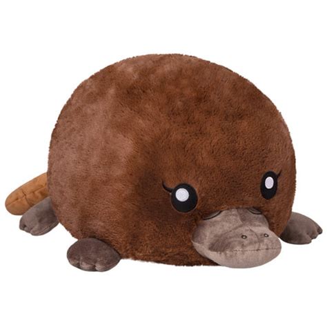 Baby Platypus Plush – www.shoptherocket.com