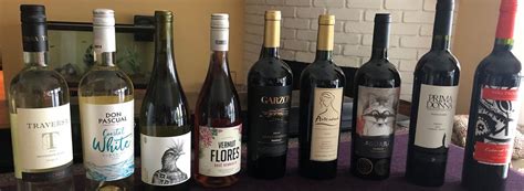 Uruguay is a Tiny Wine Region Delivering Softly Big, Delicious Flavors You’ll Enjoy - Wine Blog