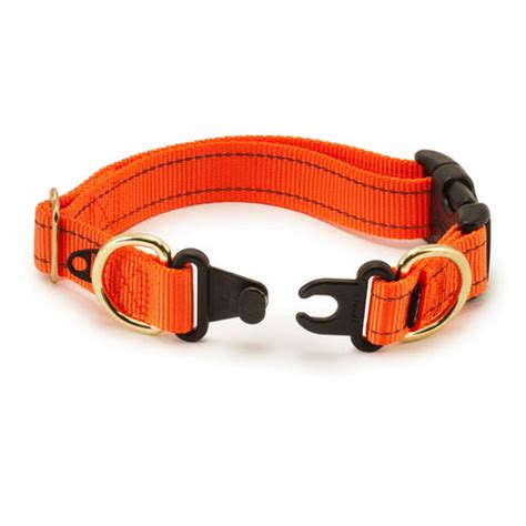 Best Collars for English Bulldogs – SPARK PAWS