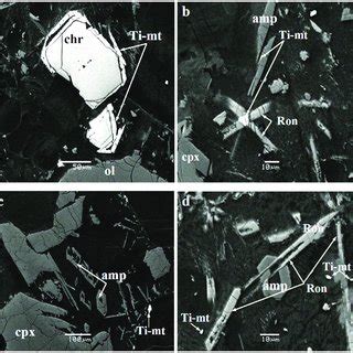 Back-scattered electron (BSE) images (unpolished sections) of extinct... | Download Scientific ...