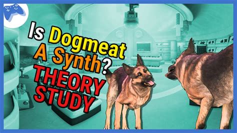 Fallout Theory Study - Is Dogmeat a Synth? - YouTube