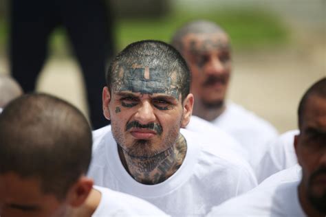 MS-13, the Gang Trump Said He Would Decimate, Is One of Texas's Most Powerful - Newsweek