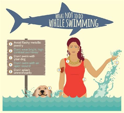 How to Avoid a Shark Attack