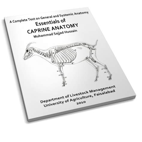 Essentials of Caprine Anatomy - Vet-books