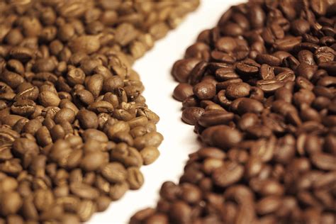 How To Choose The Best Coffee Beans For Lattes - Simply Healthy Family