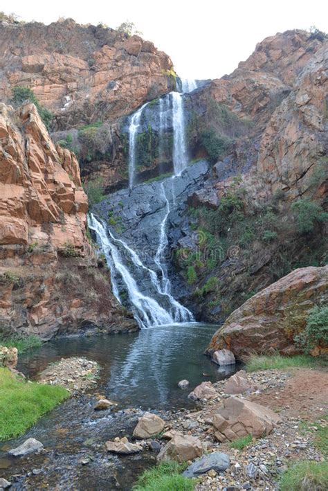 Walter Sisulu National Botanical Garden, Johannesburg, South Afr Stock Photo - Image of park ...