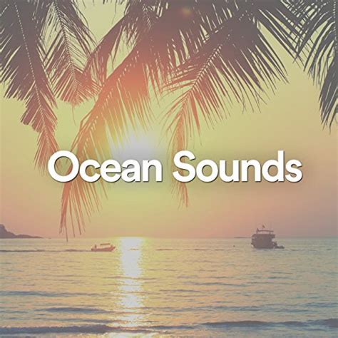 Play Ocean Sounds by VARIOUS ARTISTS on Amazon Music