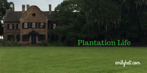 Plantation Life - Emily Hatfield