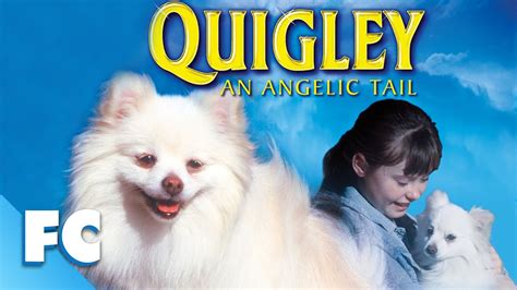 Quigley | Full Family Comedy Fantasy Dog Movie | Gary Busey | Family ...