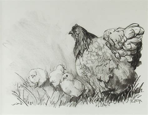 hen chicks nest | Chicken pictures, Hens and chicks, Farm art