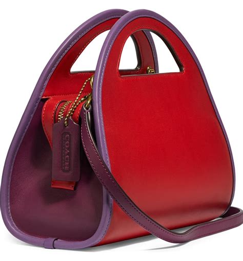 Coach Valentine Purse 2020 | semashow.com