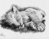 Items similar to Fine art A4 pencil drawing of a sleeping lion cub on Etsy