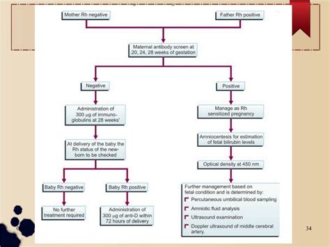 Management of Rh negative pregnancy