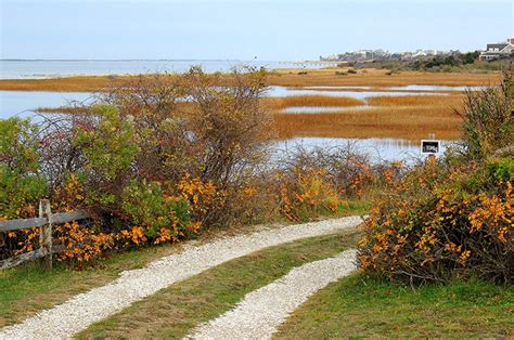 Colors of Fall | Yesterdays Island, Todays Nantucket