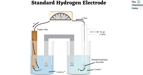 What is Standard Hydrogen Electrode?