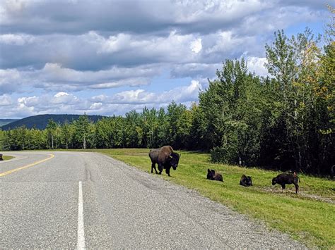 Visualizing 36 Hours on the Alcan Highway | by Katherine Mello | Nightingale | Medium