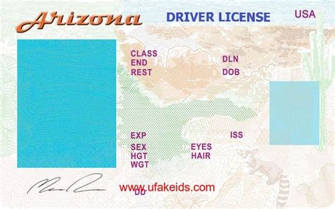 Arizona Drivers License Template | Card Template