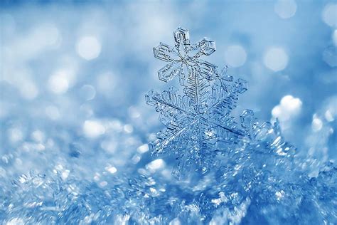 Artistic, Snowflake, Macro, HD wallpaper | Peakpx