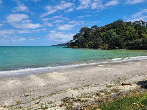 The Very Best Things To Do in Coromandel Town