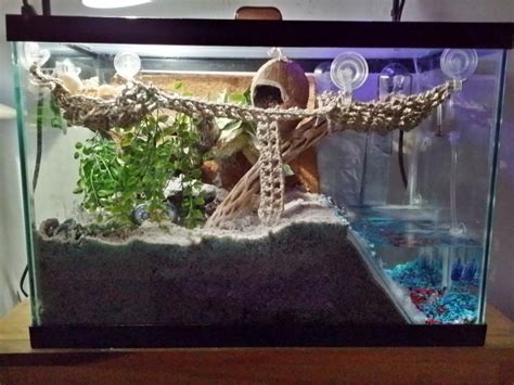 hermit crab tank setup ideas - Google Search | Aquariums | Pinterest | Google search, Google and ...