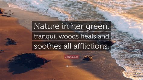 John Muir Quote: “Nature in her green, tranquil woods heals and soothes all afflictions.”