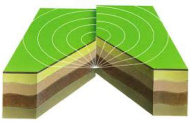 detection - Seismic Waves