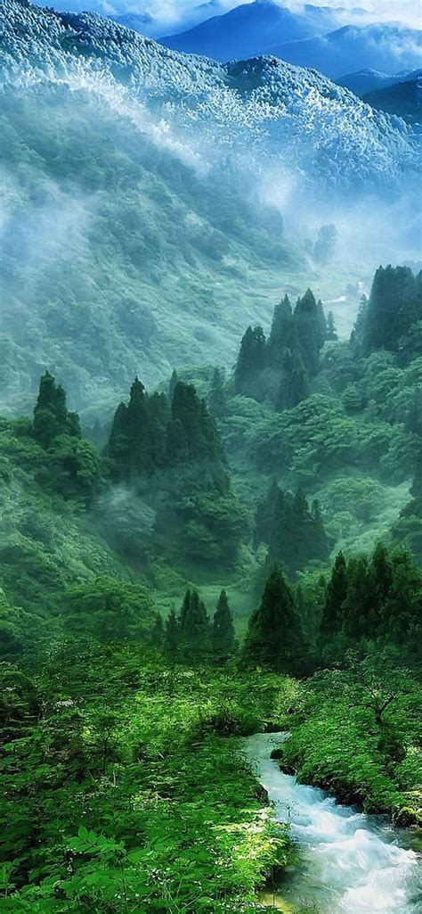 Nature Mist Mountain Wood Forest River Landscape iPhone Wallpapers Free Download