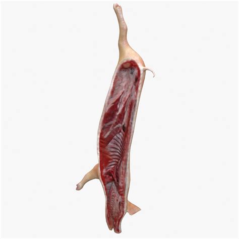 Pig Carcass 3D Model $49 - .max .3ds - Free3D