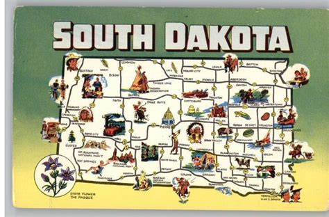 south Dakota postcard | Postcard..Illustrated South Dakota Map..SD State Flower | Place across ...