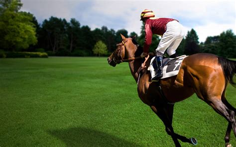 Download Horse Racing Sports HD Wallpaper