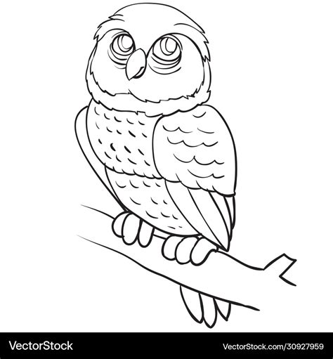 Owl sitting on a branch outline drawing coloring Vector Image